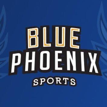 BluePhoenix logo