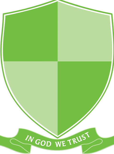 Hana International logo